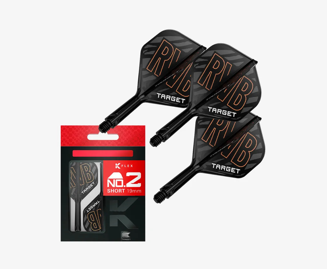 Raymond van Barneveld K-Flex No.2