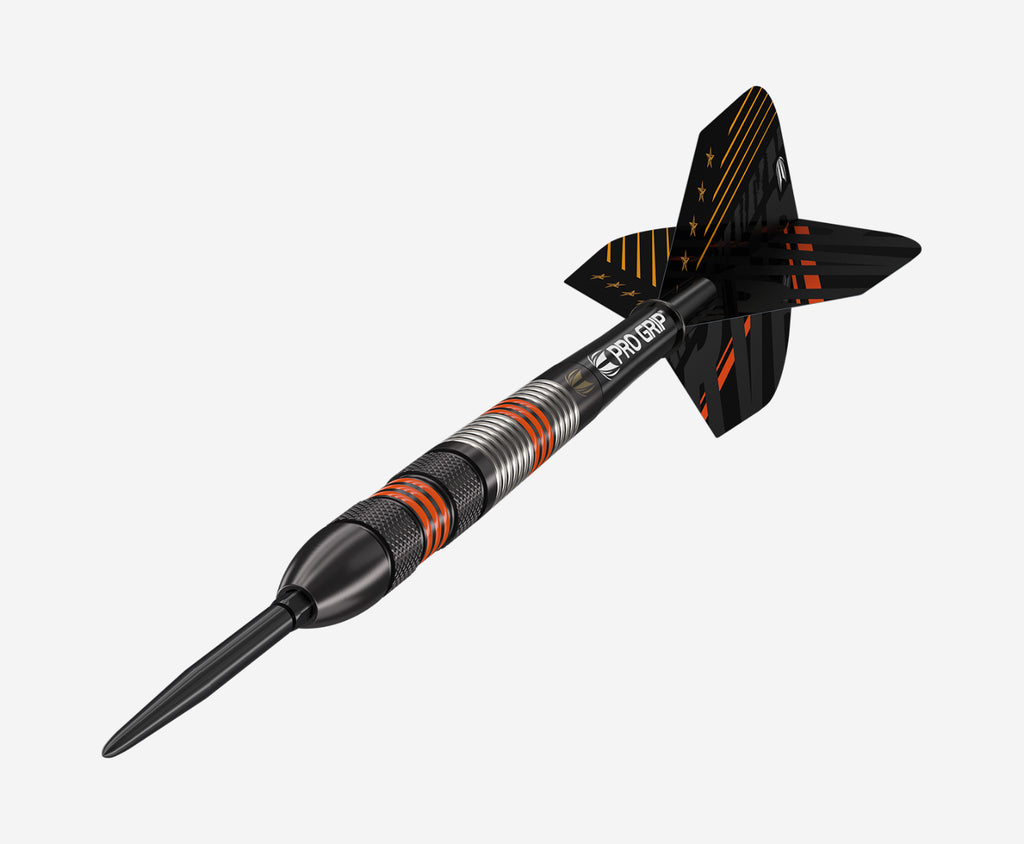 RAYMOND VAN BARNEVELD RVB BLACK SP