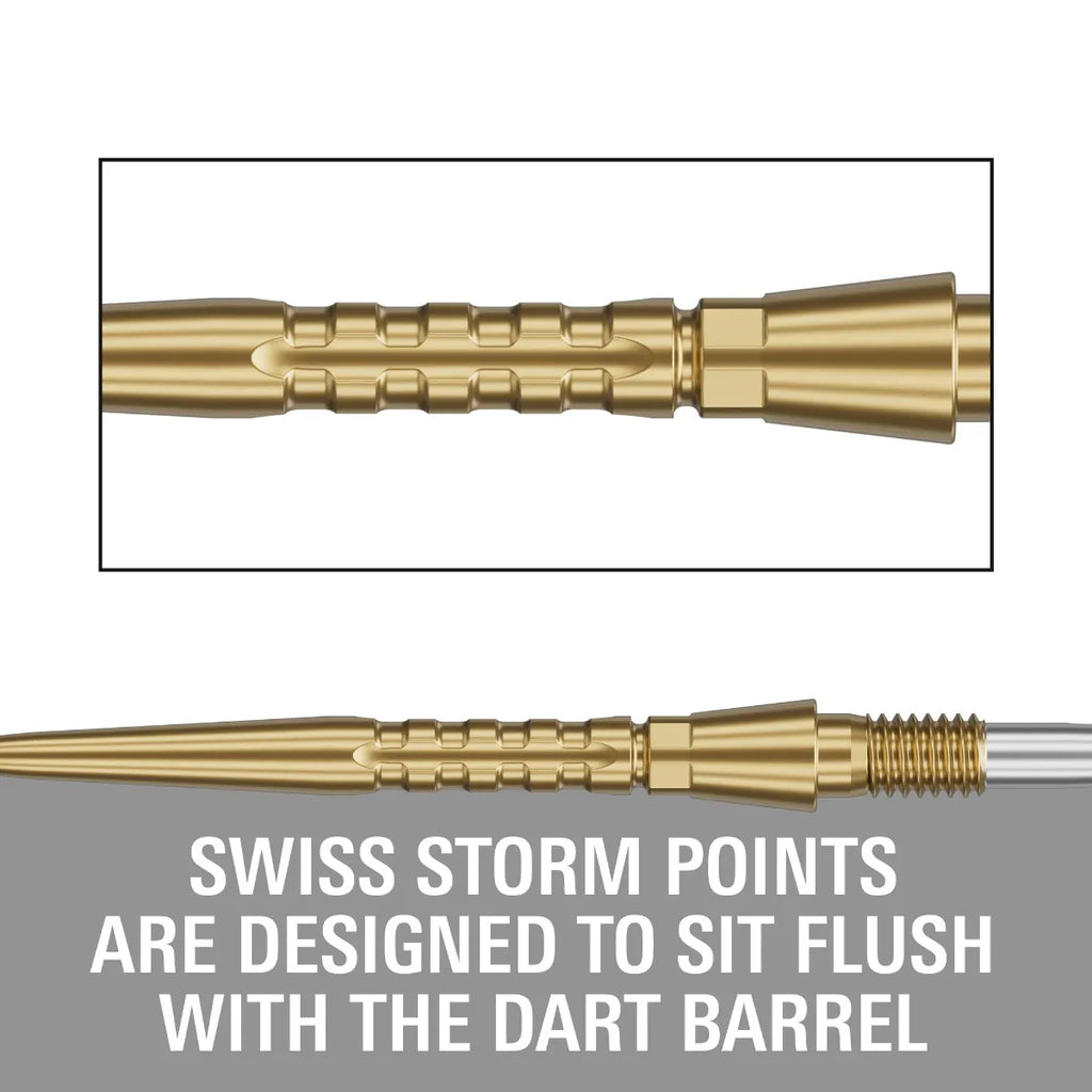 SWISS STORM SURGE  POINT
